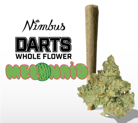 Darts Melonaid Nimbus Darts Melonaid Nimbus