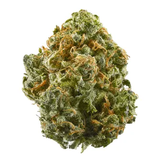 NF1 Blossom Flower