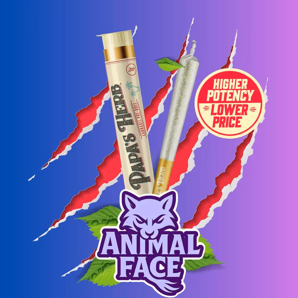 Animal Face