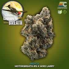 Larry's Breath Certified