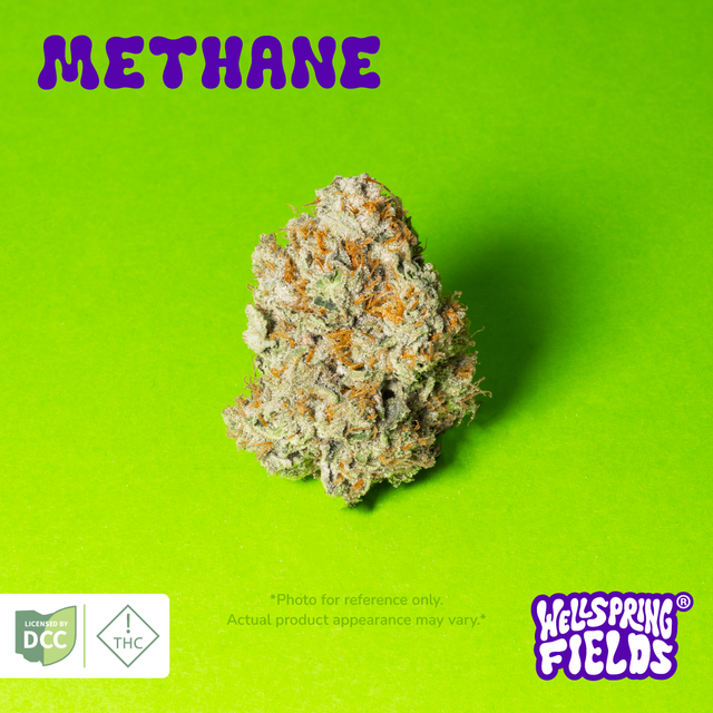 Methane Wellspring Fields
