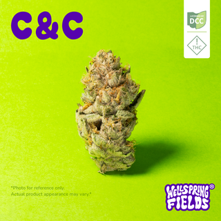C & C Wellspring Fields