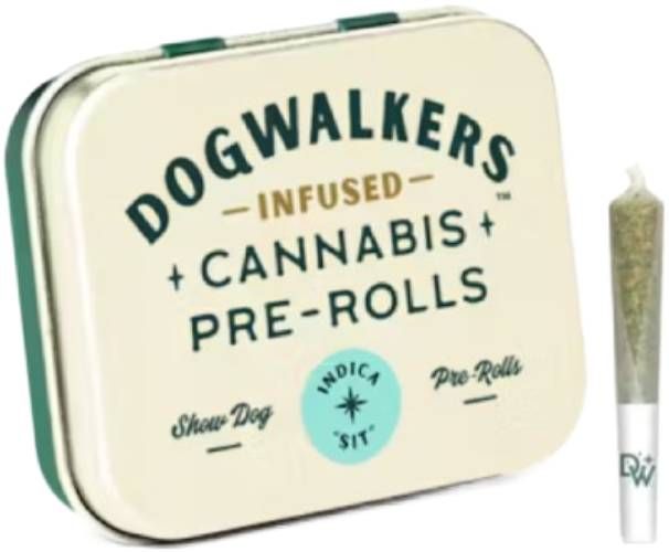 Animal Scout Dogwalkers Animal Scout Dogwalkers
