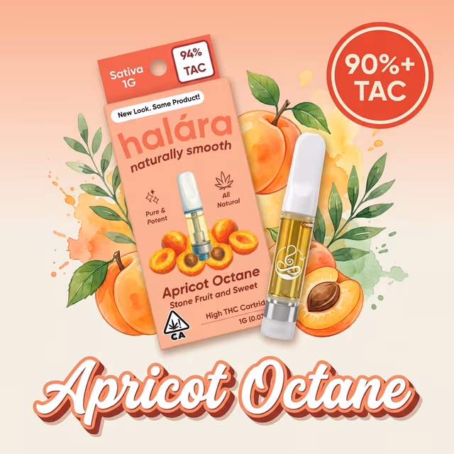 Apricot Octane Halara