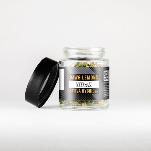 Dawg Lemons Illicit