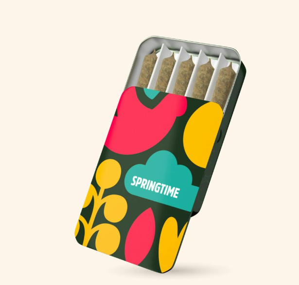 Governmint Oasis Springtime Governmint Oasis Springtime