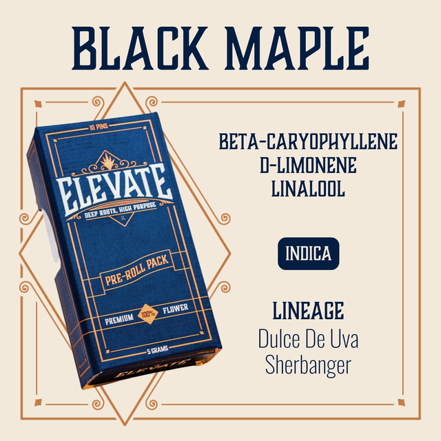 Black Maple Elevate