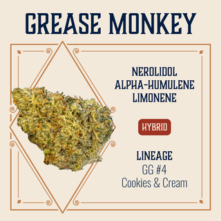 Cannabis Promo, Cannabis Sales, Cannabis Discounts, Cannabis on Sale, $50 Elevate 7g Flower 2