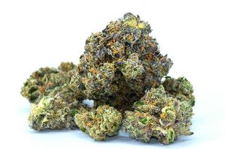 Headband #1 Pharmacanna