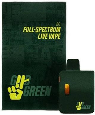 Couch Crasher  Good Green