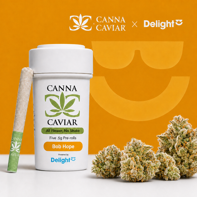 Bob Hope Canna Caviar