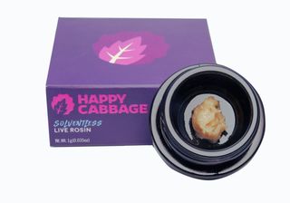 Z-Rose Happy Cabbage