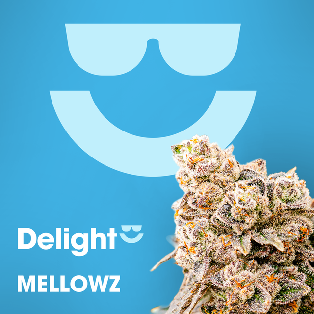Mellowz Delight Mellowz Delight