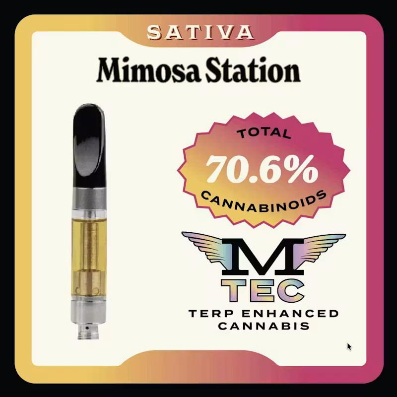 Mimosa Mule Extracts Mimosa Mule Extracts