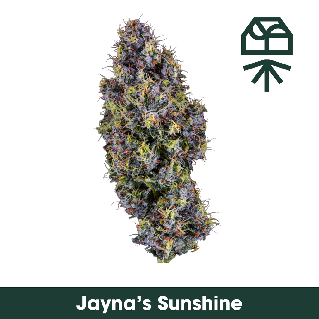 Jayna's Sunshine