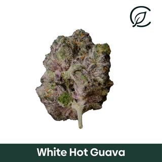 White Hot Guava Grassroots