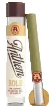 Bold Pineapple Haze Anthem
