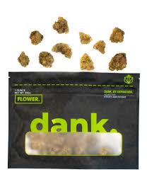 Animal Cookies