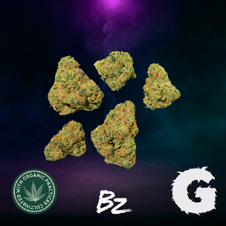 Pina Colada BZ by G-Putt