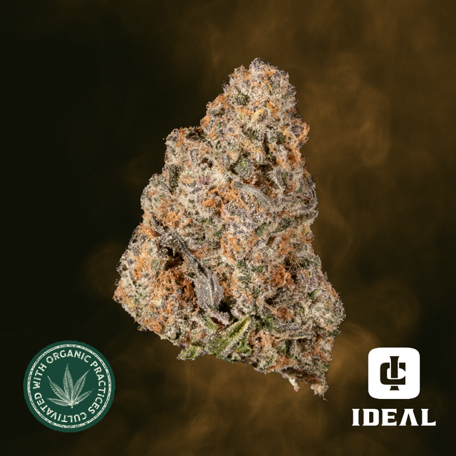 Cascade Orange #5 Ideal Cannabis