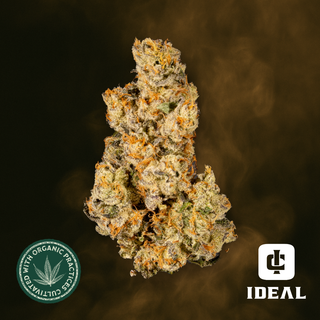 Voyager 1 Ideal Cannabis