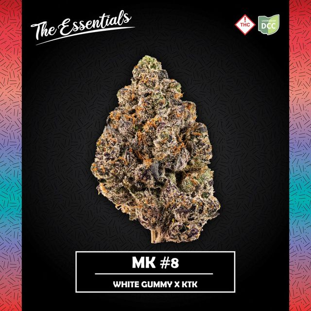 MK #8 Essentials