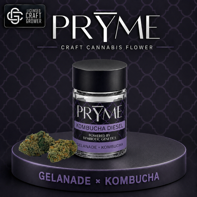 Kombucha Diesel Pryme Kombucha Diesel Pryme