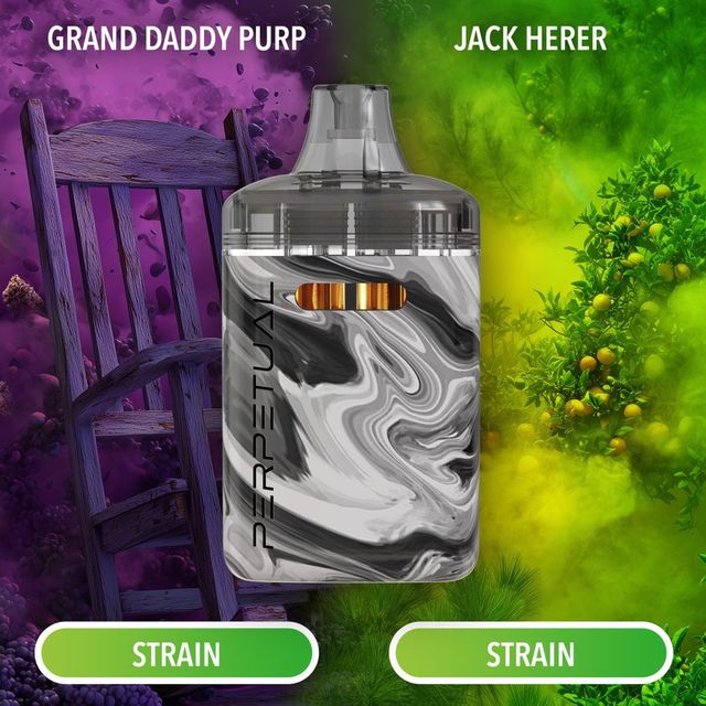 Jack Herer & Grand Daddy Purp Perpetual
