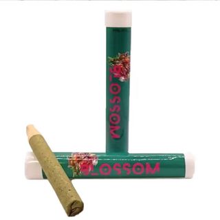 Blueberry Breath Blunt Blossom Flower