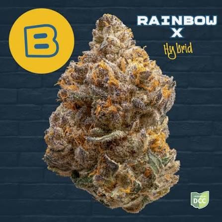 Rainbow X Buckeye Relief Rainbow X Buckeye Relief
