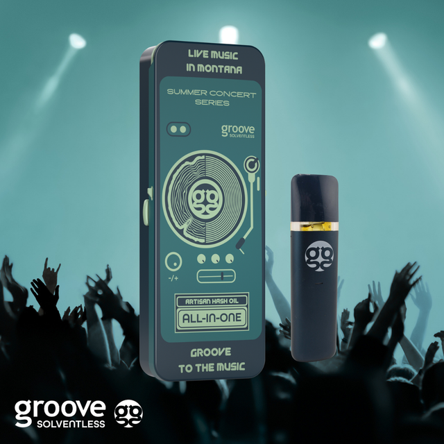 SFV OG  Groove Solventless