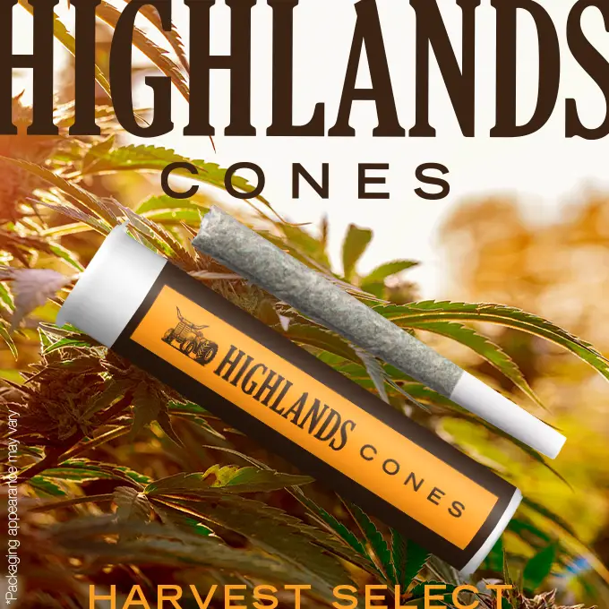 Rainbow Beltz Highlands