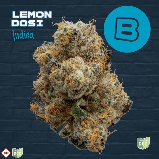 Lemon Dosi Buckeye Relief