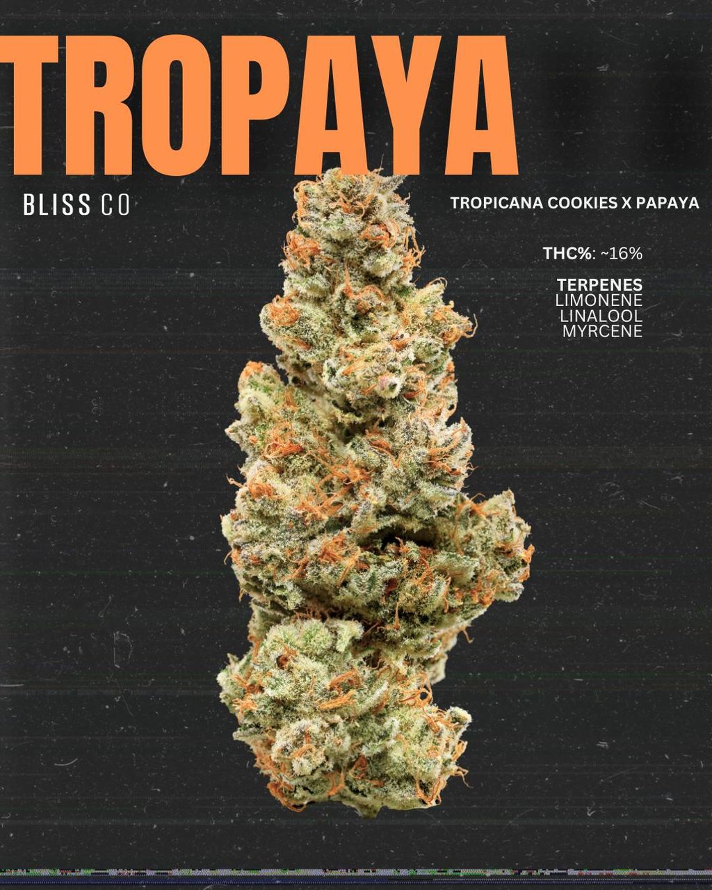 Bliss Co Tropaya 🍍🌴 Pre-Pack 3.5g