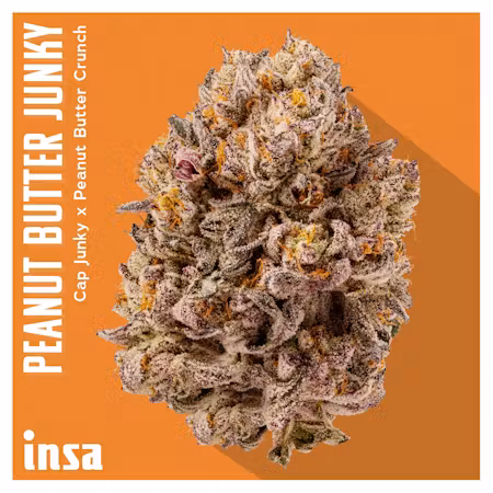 Peanut Butter Junky Insa Peanut Butter Junky Insa