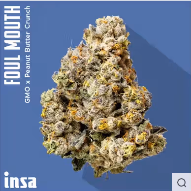 Foul Mouth Insa