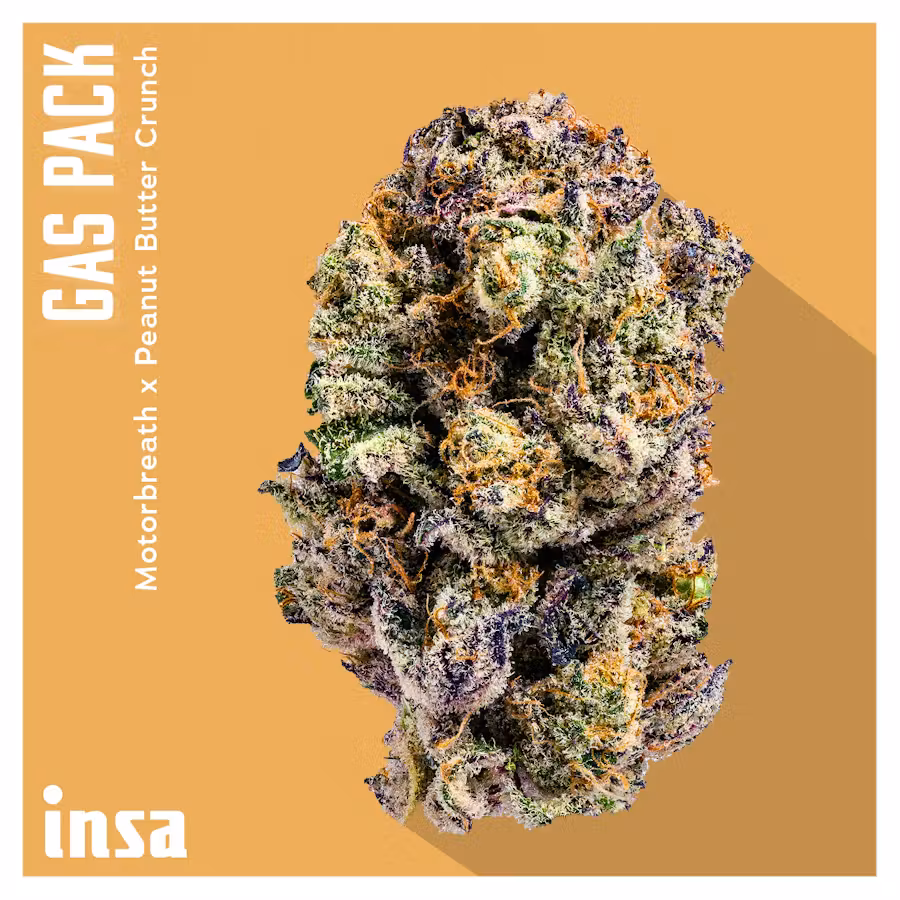 Gas Pack Insa Gas Pack Insa