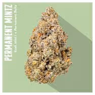 Cannabis Promo, Cannabis Sales, Cannabis Offers, Cannabis on Sale, INSA: Two 14g Flower For $110 2