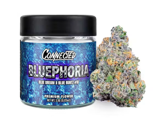 Bluephoria Connected