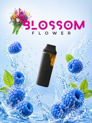  Blossom Blue Raspberry 1g Disposable Vape Blossom Flower