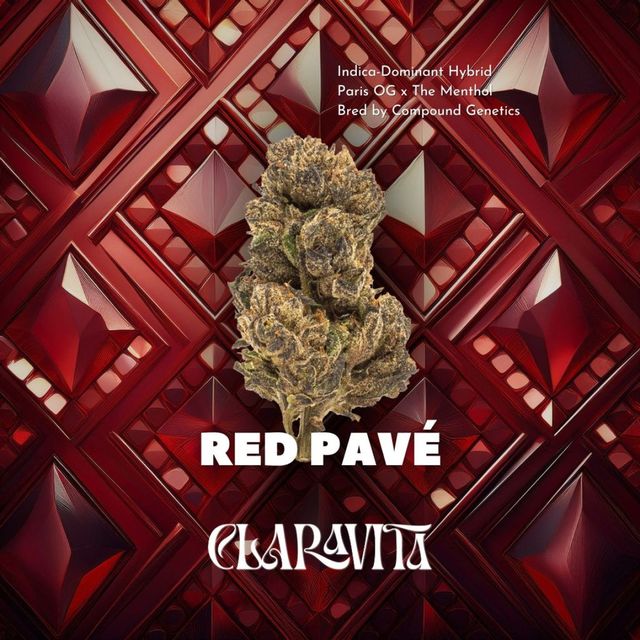 Red Pave Claravita