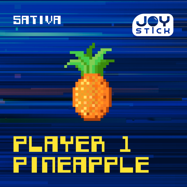 Player 1 Pineapple Joy Stick