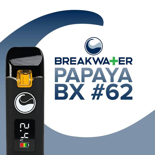 Papaya BX #62 Breakwater