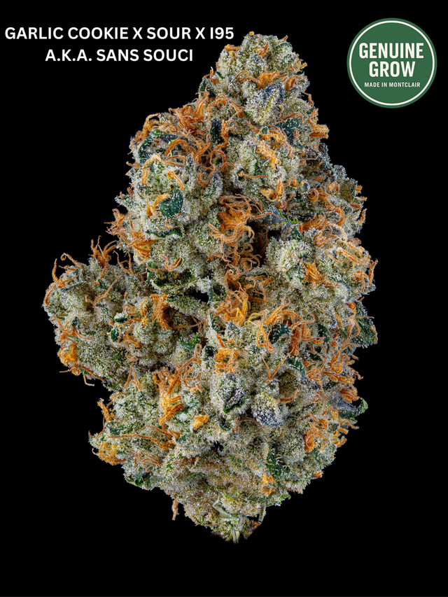 Sans Souci Genuine Grow