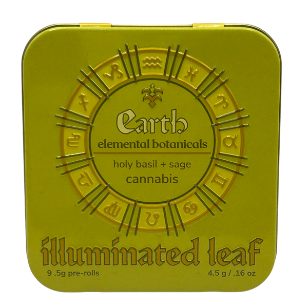 Earth Illuminated Leaf