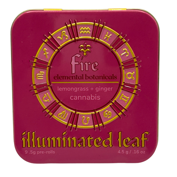 Fire Illuminated Leaf