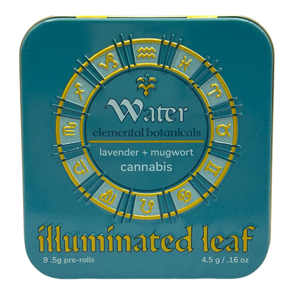 Water Illuminated Leaf