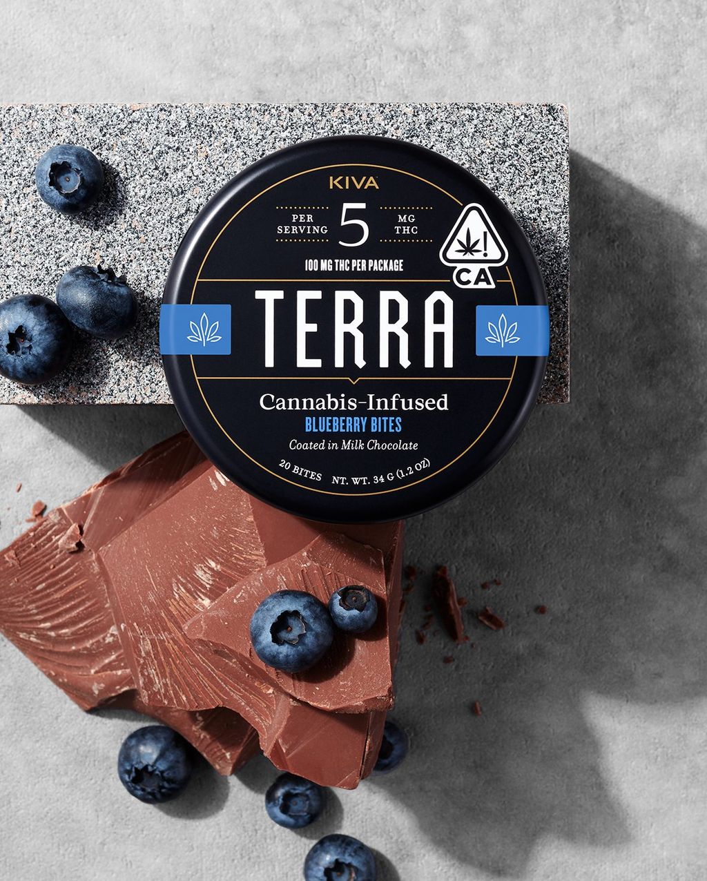 Milk Chocolate Blueberry Bites