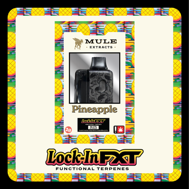 Pineapple Lock-In FXT Mule Extracts