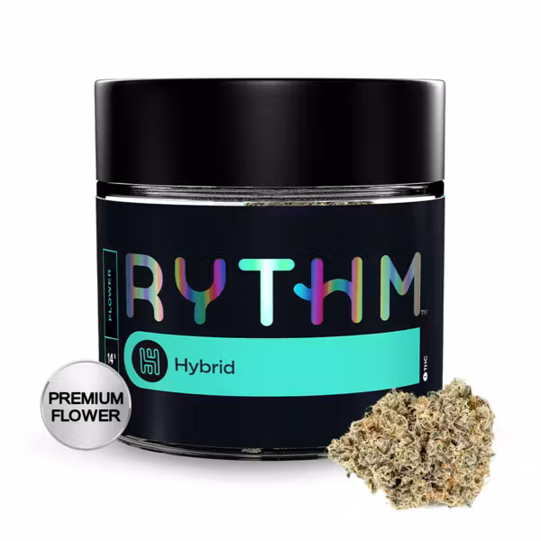 Scotch & Soda Rythm Scotch & Soda Rythm
